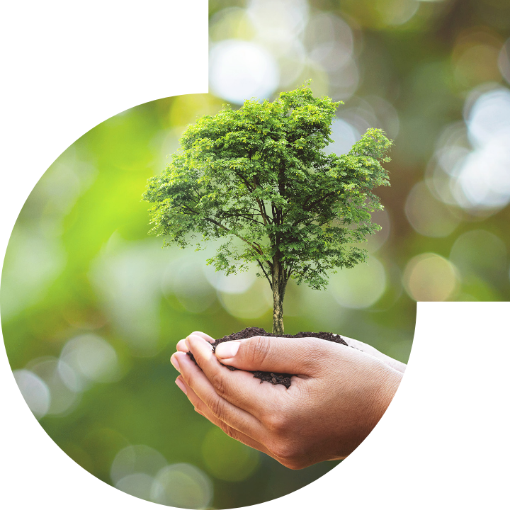 关怀人类、文化、环境与社会